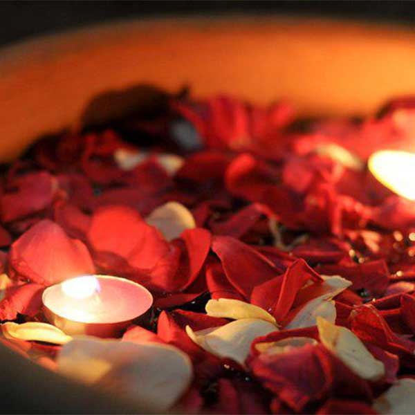 Exclusive Wedding Decor
